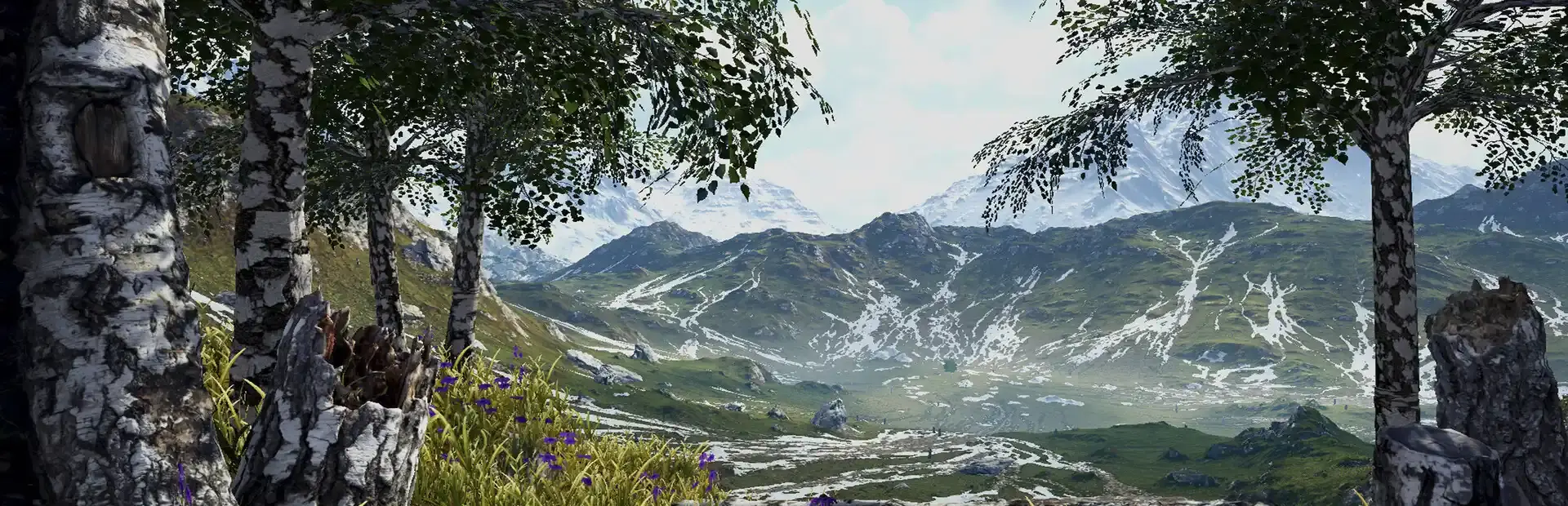 Birch Simulator background