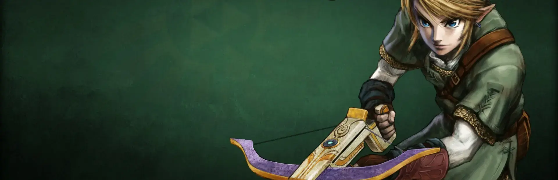 Link's Crossbow Training background