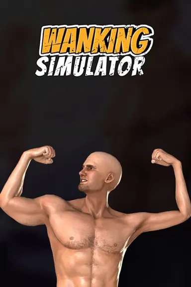 Wanking Simulator cover