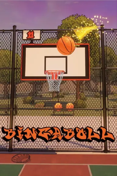 Bingaboll cover