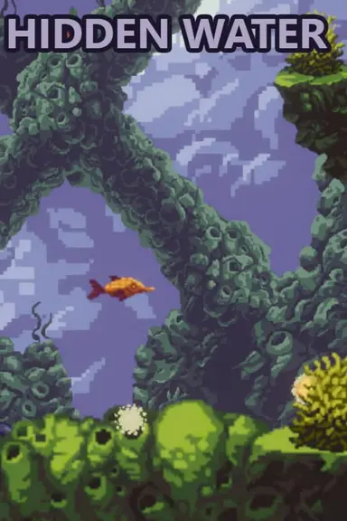 Hidden Water cover