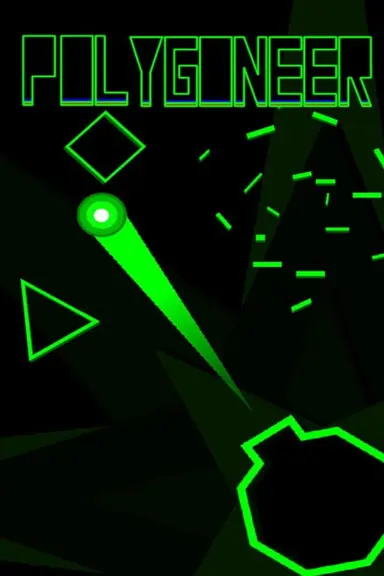 Polygoneer cover